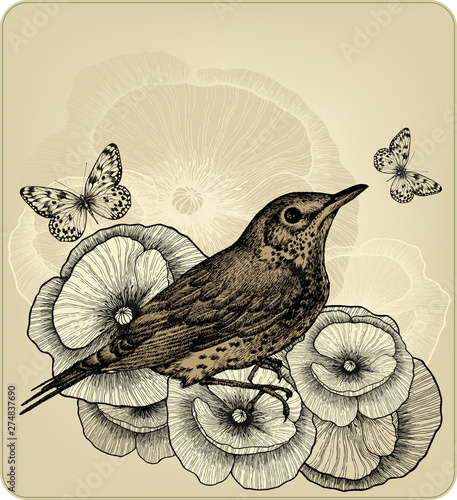 Wallpaper Mural Background with poppy flowers and bird fieldfare. Hand-drawing. Vector illustration. Torontodigital.ca