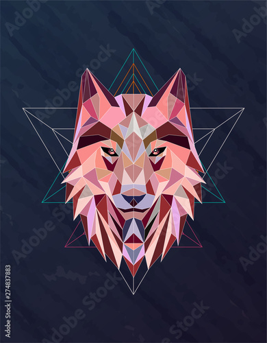 Photography Colorful abstract polygonal wolf head