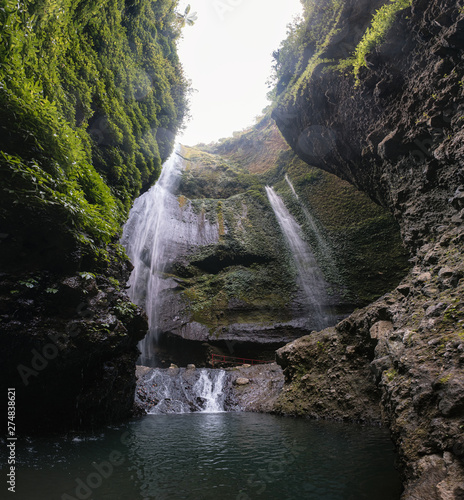 Madakaripura waterfall flowing on rock valley with plants in national park