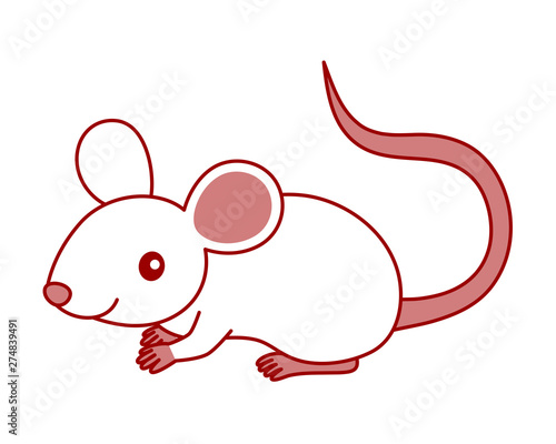                        mouse