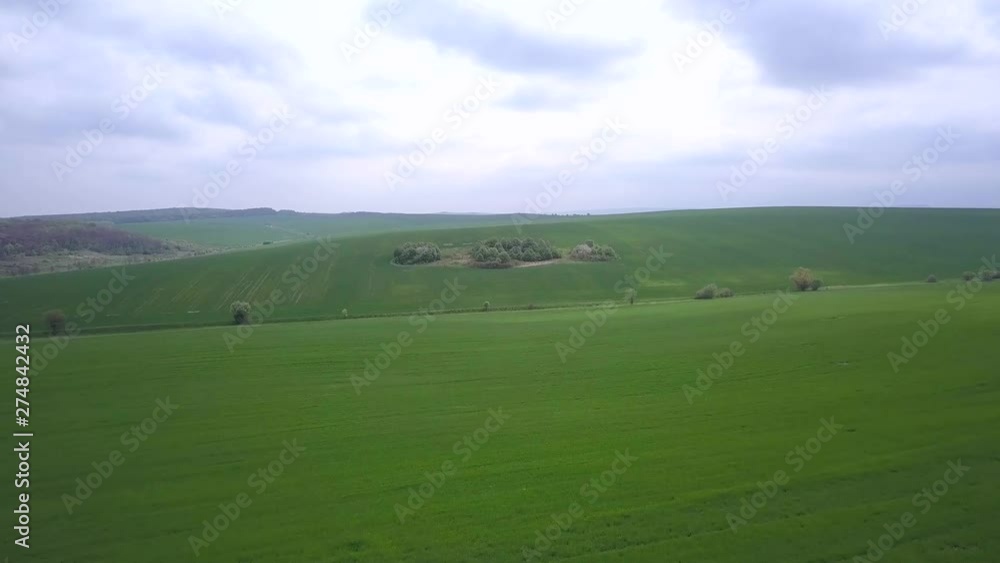 Aerial view of green agriculture field in summer or spring. Aerial view of green agriculture field in summer or spring.