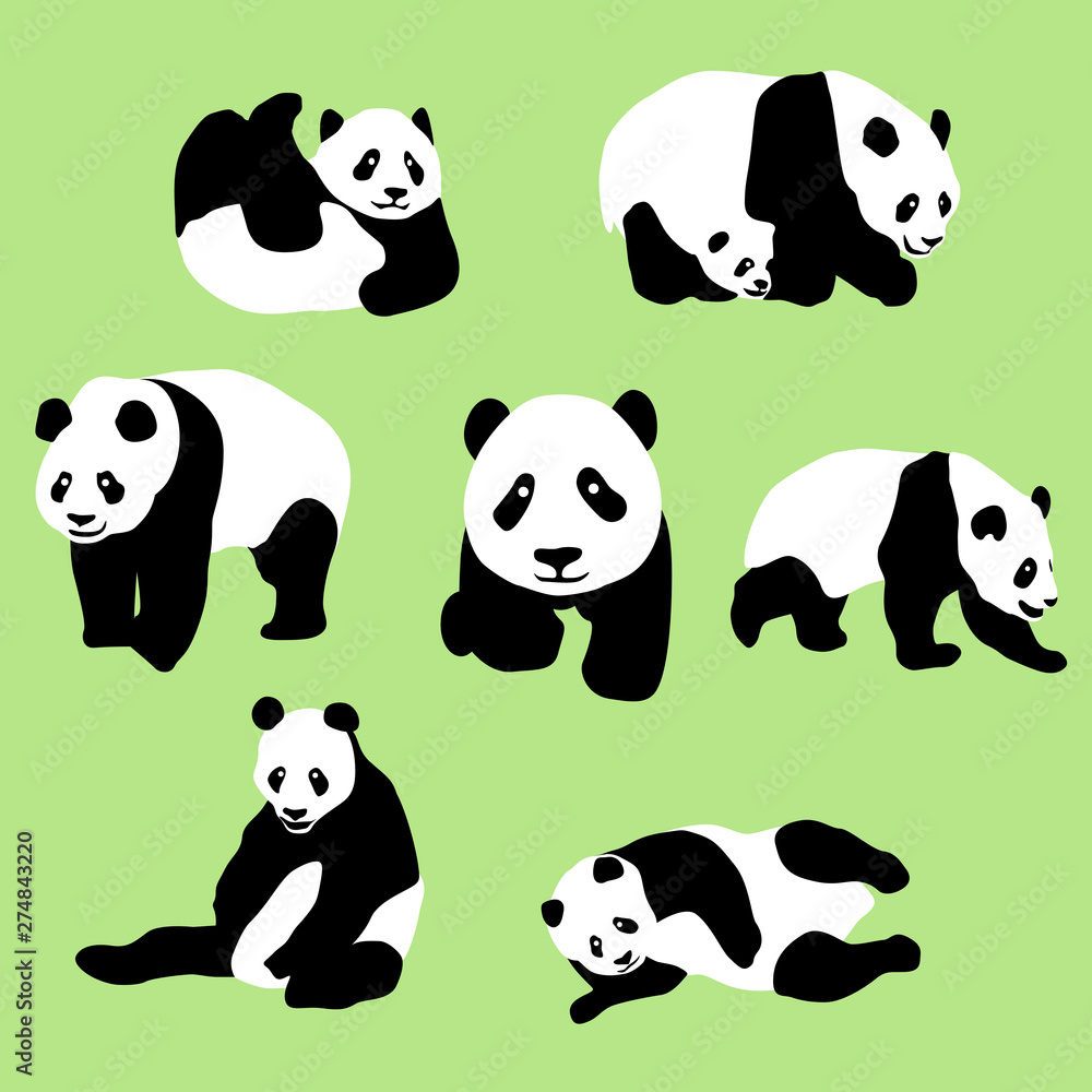 Cute Panda Bear in Simple Style Cute Panda Bear in Simple Style
