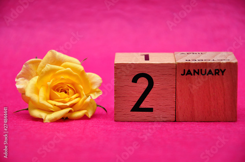 2 January on wooden blocks with a yellow rose on a pink background