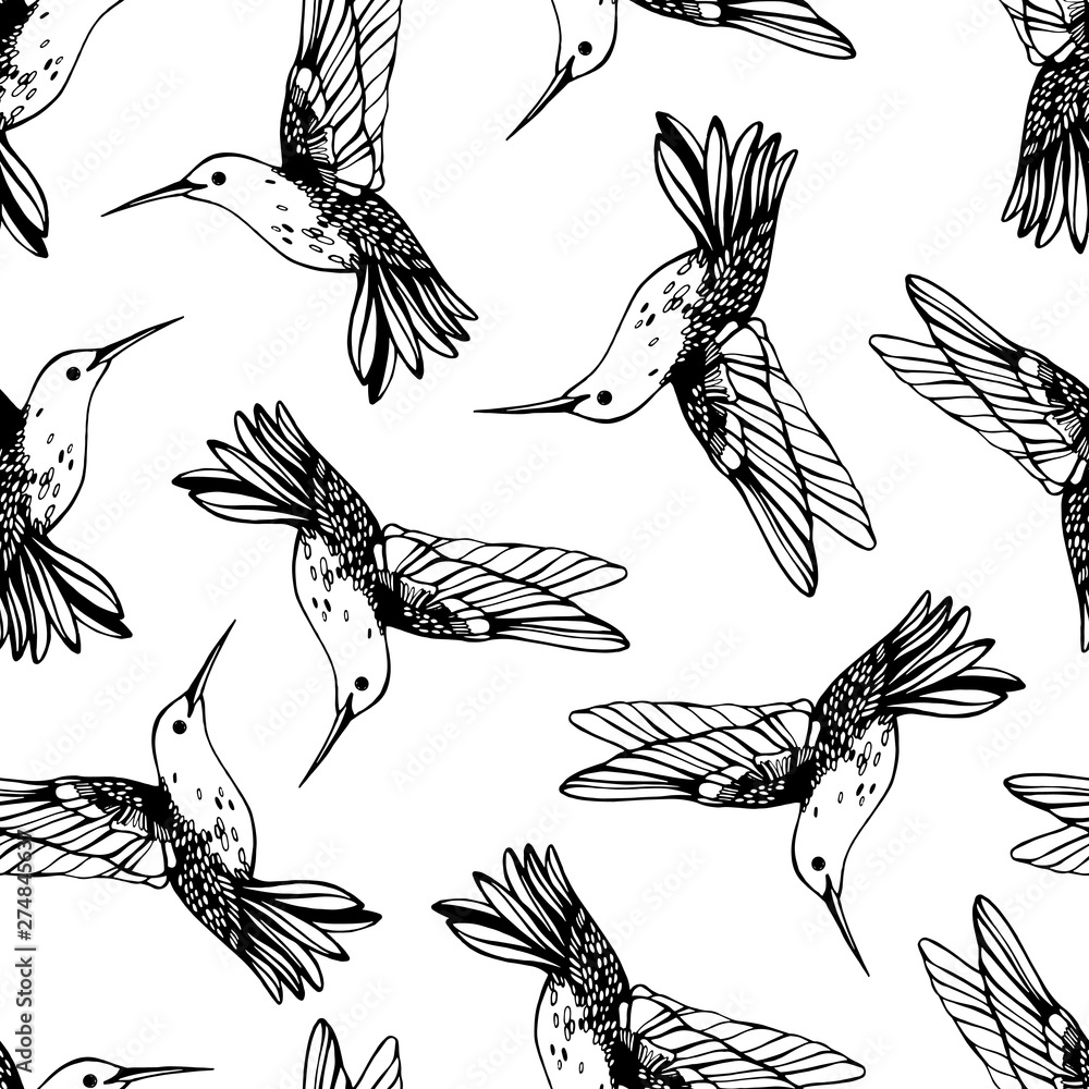 Vector seamless pattern with colibri. Vector seamless pattern with colibri.