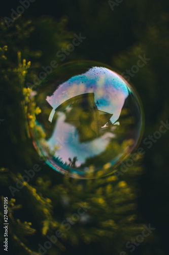 Obraz na płótnie soap bubble w salonie