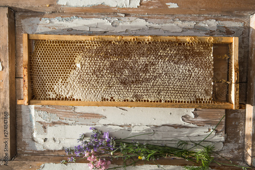 honey comb on the table. Top view. Honey background.