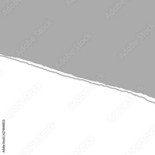Gray Vector Ripped or Torn Paper Divider Background © LayerAce.com