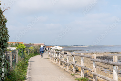 tourist riding bicycle on bike path to beach in Summer on island ile de Re France © OceanProd