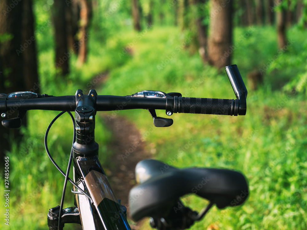 Bike on a beautiful forest road. The concept of active lifestyle and Cycling Bike on a beautiful forest road. The concept of active lifestyle and Cycling