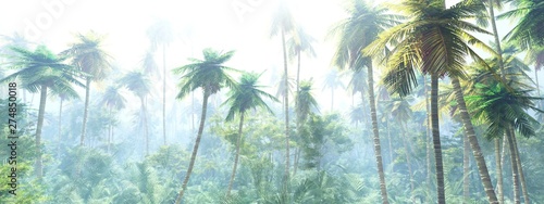 Jungle morning in the fog, palm trees in the haze, jungle panorama