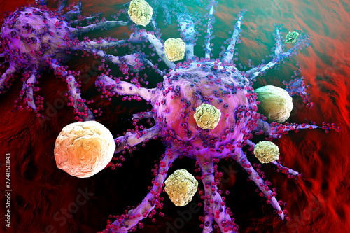 T-Cells of the immune System attacking growing Cancer cells