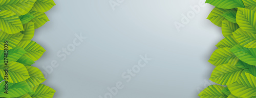Eco Banner Green Leaves Header