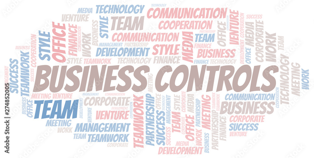 Business Controls word cloud. Collage made with text only.