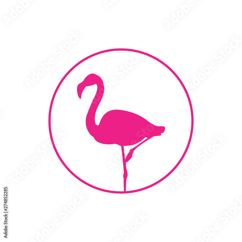 Icono plano flamenco en círculo lineal en color rosa