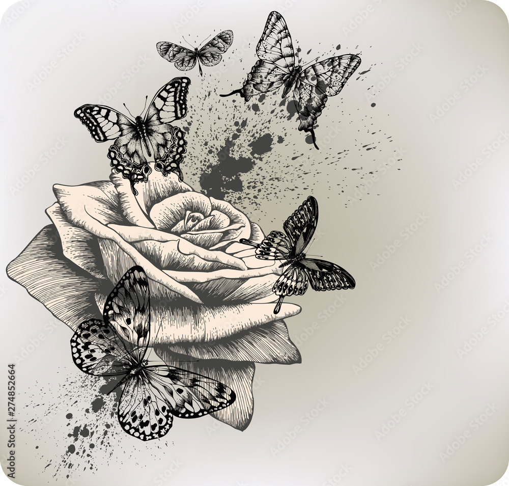 custom made wallpaper toronto digitalBackground with rose and butterflies flying, hand drawing.Vector illustration.