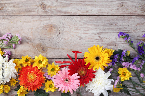 Colorful chrysanthemums placed on the table old wooden background