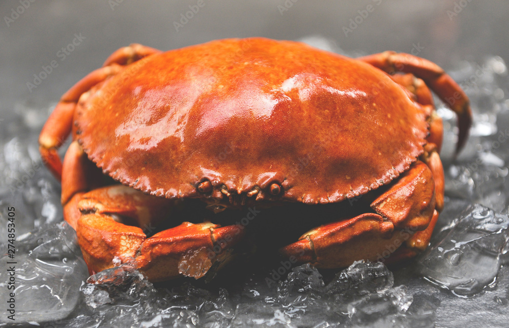 crab on ice - Close up of stone crab steamed in the seafood restauran crab on ice - Close up of stone crab steamed in the seafood restauran