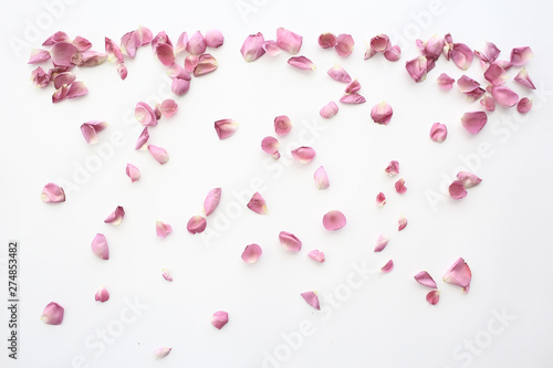 Wallpaper Mural pink and red petals background / abstract aroma background, spa pink petals