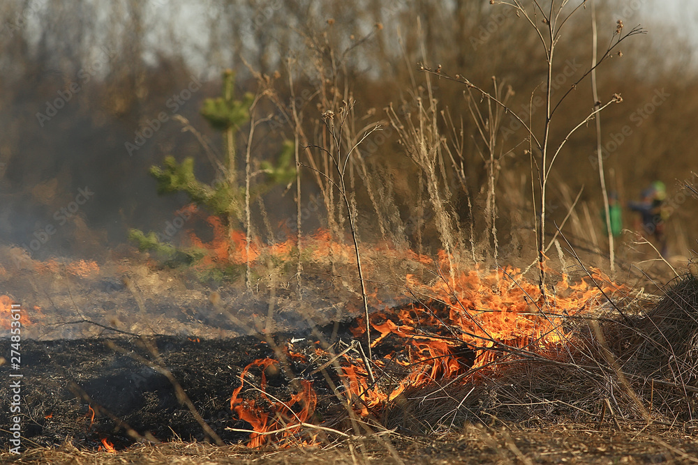 fire in the field / fire in the dry grass, burning straw, element, nature landscape, wind fire in the field / fire in the dry grass, burning straw, element, nature landscape, wind