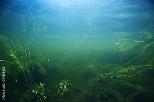 underwater mountain clear river   underwater photo in a freshwater river  fast current  air bubbles by water  underwater ecosystem landscape