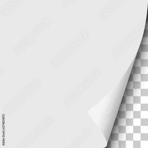 Sheet of white paper with curled lower right corner and transparent next page. Vector paper template.