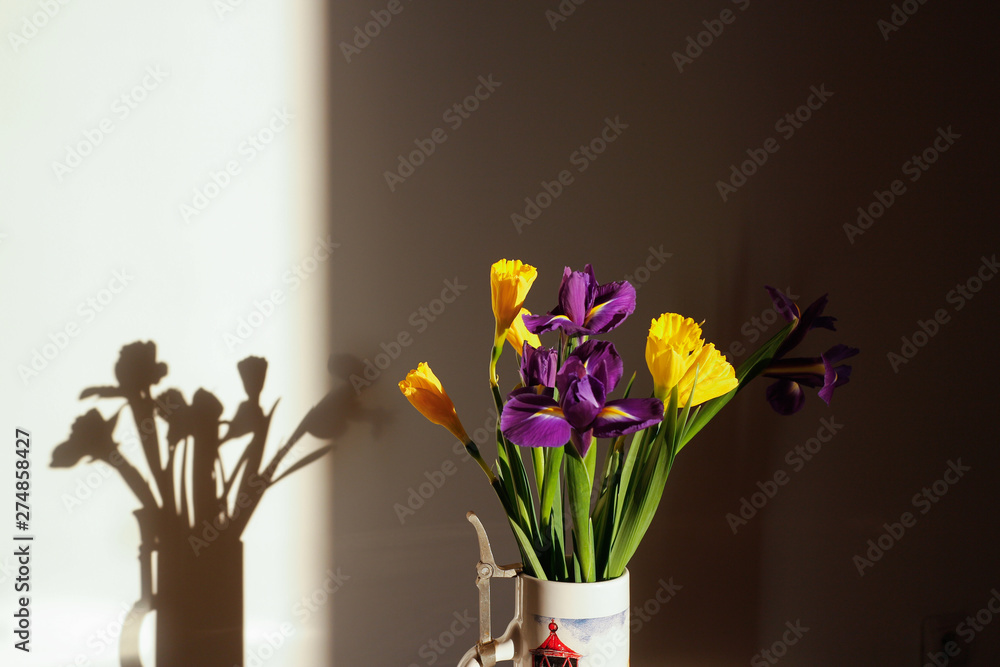 The colorful daffodils and irises. The colorful daffodils and irises.