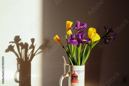 The colorful daffodils and irises.