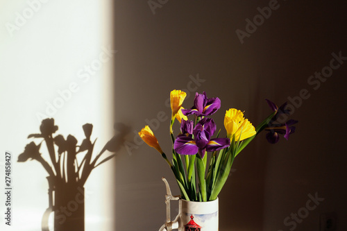 The colorful daffodils and irises.