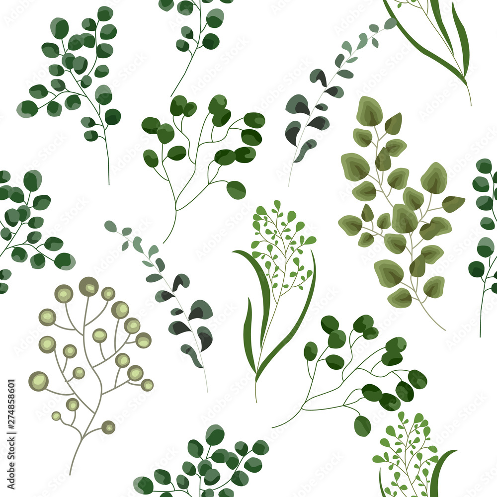  Decorative beauty elegant illustration for design, wedding, invitation cards. Vector elements of forest fern, tropical green eucalyptus greenery art foliage natural leaves herbs in watercolor style.