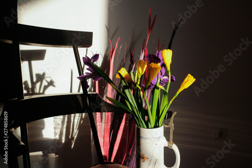 The colorful daffodils and irises.