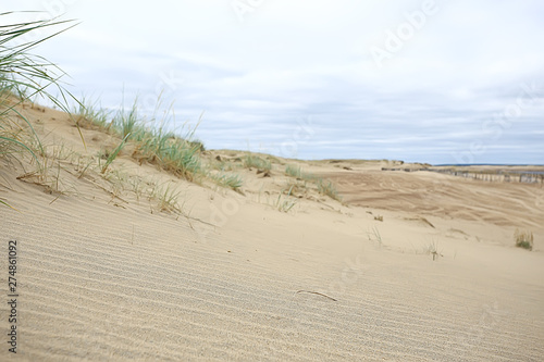 Fototapeta Naklejka Na Ścianę i Meble -  desert landscape / sand desert, no people, dune landscape