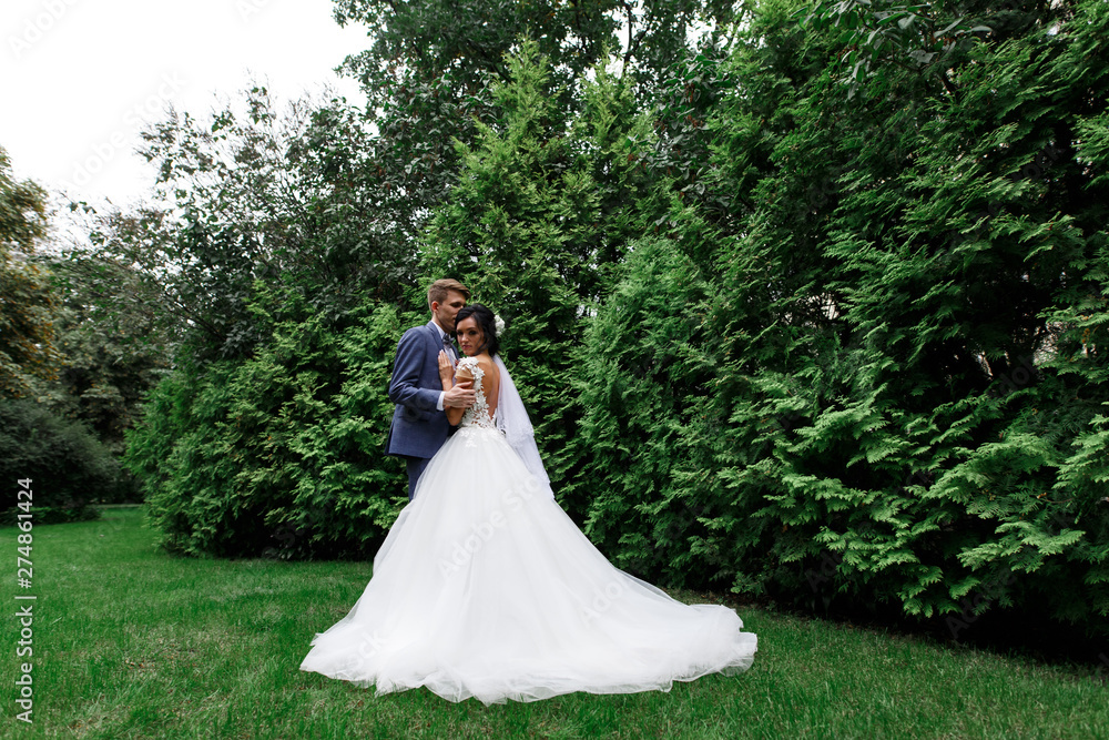 stylish newlyweds gently look at each other .Portrait of happy bride and groom in green trees in park. Happy bride and groom on their wedding . wedding concept. wedding photo. stylish newlyweds gently look at each other .Portrait of happy bride and groom in green trees in park. Happy bride and groom on their wedding . wedding concept. wedding photo.