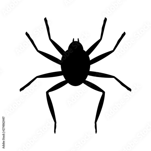 spider black flat icon. vector illustration logo. isolated on white background