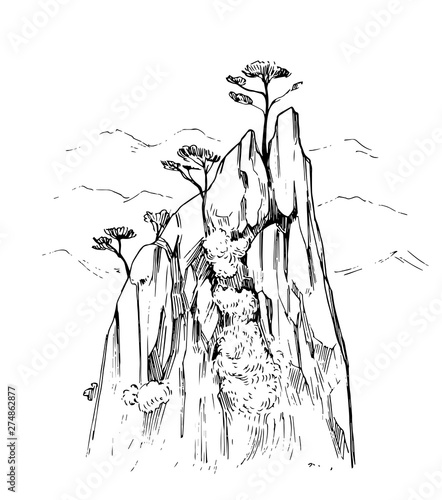 Sketch of the mountains of China. Hand drawn illustrtion converted to vector