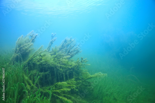 lake underwater landscape abstract / blue transparent water, eco nature protection underwater