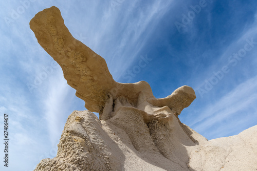 The Wings rock formation in Bisti Wilderness area, New Mexico, USA photo