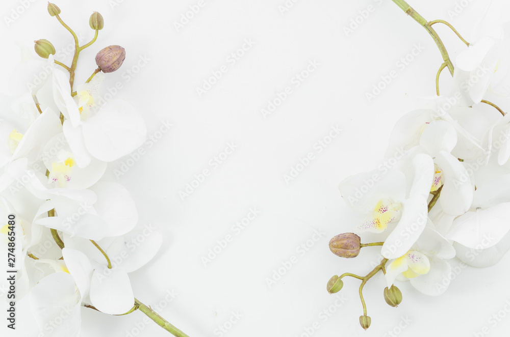 Obraz premium Decorative frame of flowers