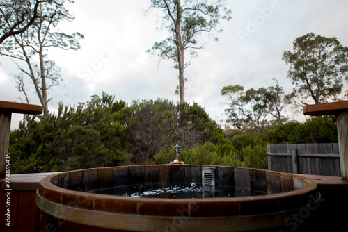 Wallpaper Mural Hot Bath Wild Nature Torontodigital.ca