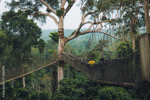 Kakum Canopy Walk in Ghana's Rainforest