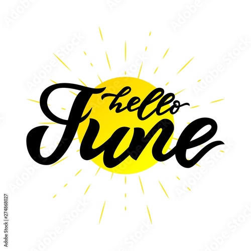 hello June, July handwritten lettering on white background. Vector