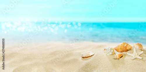 Shells on sandy beach. Summer. A great place for a holiday. © silvae