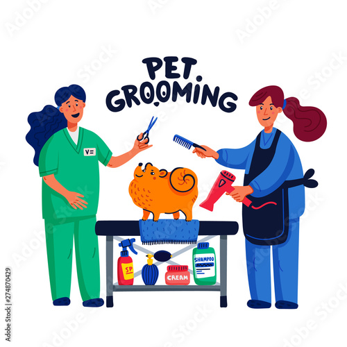 Cute dog at groomer salon. Two young girls shearing and combing spitz. Dog care, grooming, hygiene, health. Pet shop, accessories. Flat style vector illustration.