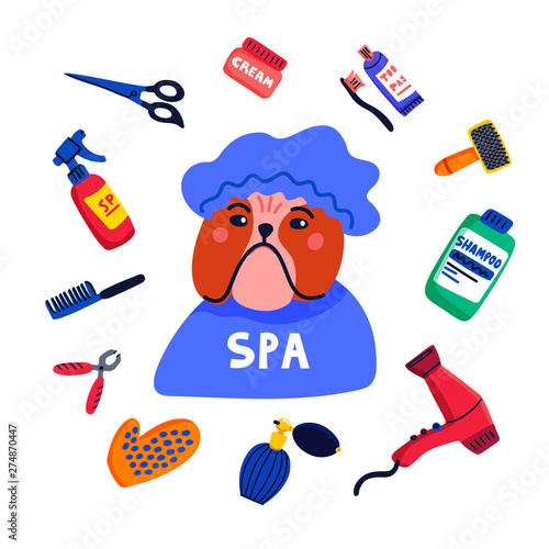 Pet grooming concept. Dog spa. Bulldog shower cap with grooming elements comb...