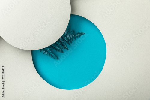 blue fern leaf in round geometric hole on white paper