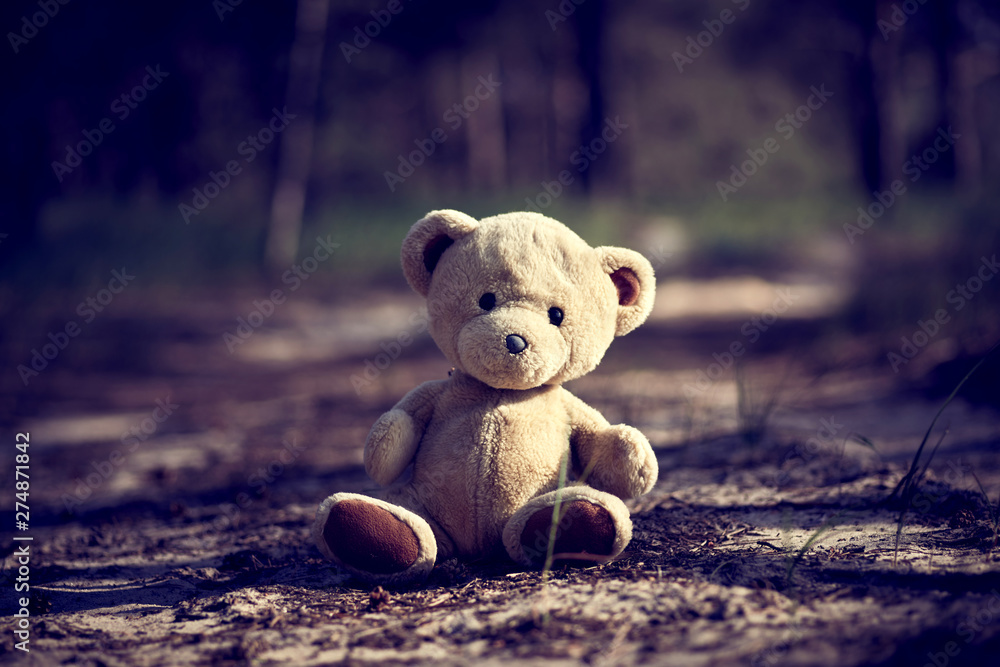 teddy bear sitting in the middle of the forest - obrazy, fototapety, plakaty 