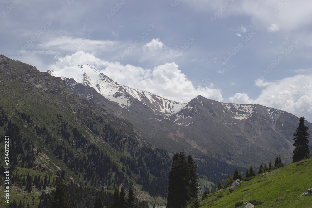 Obraz premium Beautiful view of the Tien Shan mountains