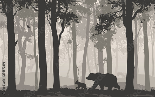 bears in the forest