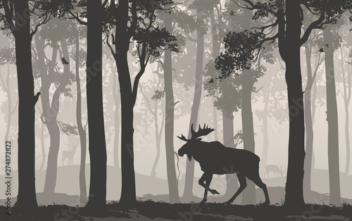 moose