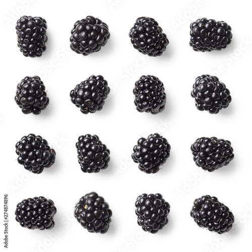Set of various blackberries isolated on white background photo