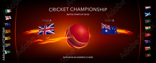Cricket game vector background, illustration. Sportive style banner with ball